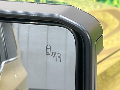 TOYOTA LAND CRUISER 250 - 6