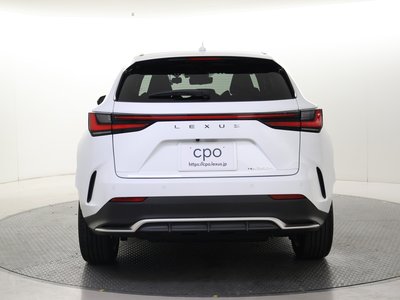 LEXUS NX - 4