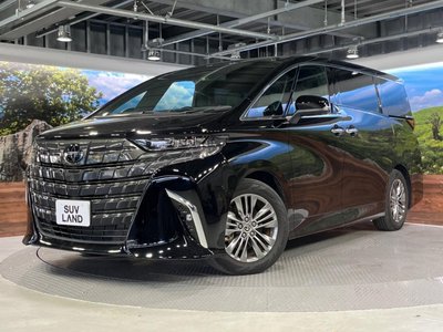 2024 Toyota ALPHARD — миниатюра 15