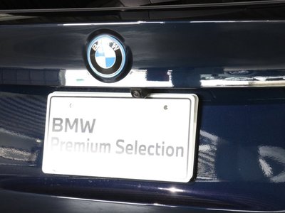 2026 BMW IX3 照片 10