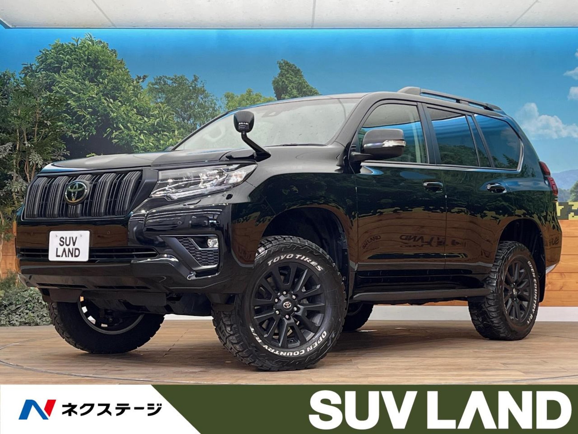 TOYOTA LAND CRUISER PRADO - View 1