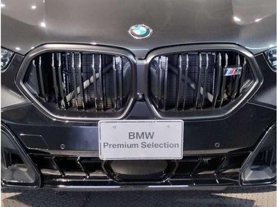 2023 BMW X6 photo 8