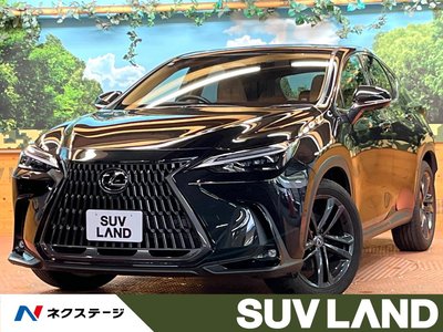 LEXUS NX - 1