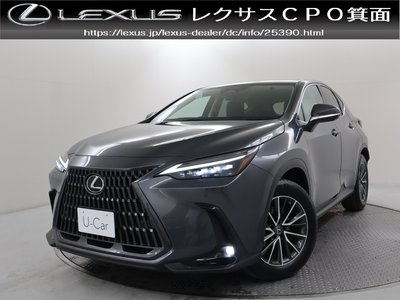 LEXUS NX - 1