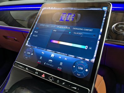 2021 Mercedes-BENZ S-CLASS 缩略图 30