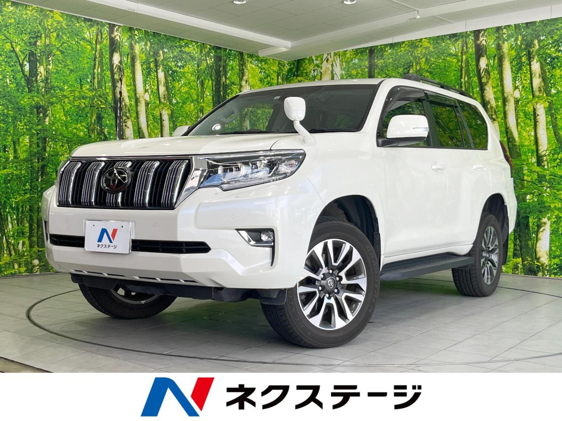TOYOTA LAND CRUISER PRADO - View 1