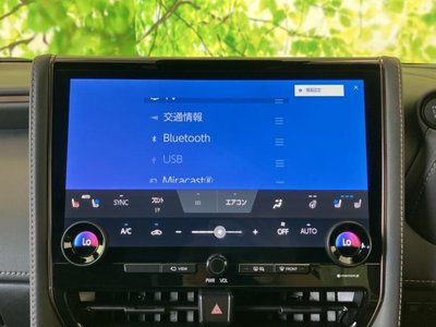 2025 Toyota ALPHARD 缩略图 11