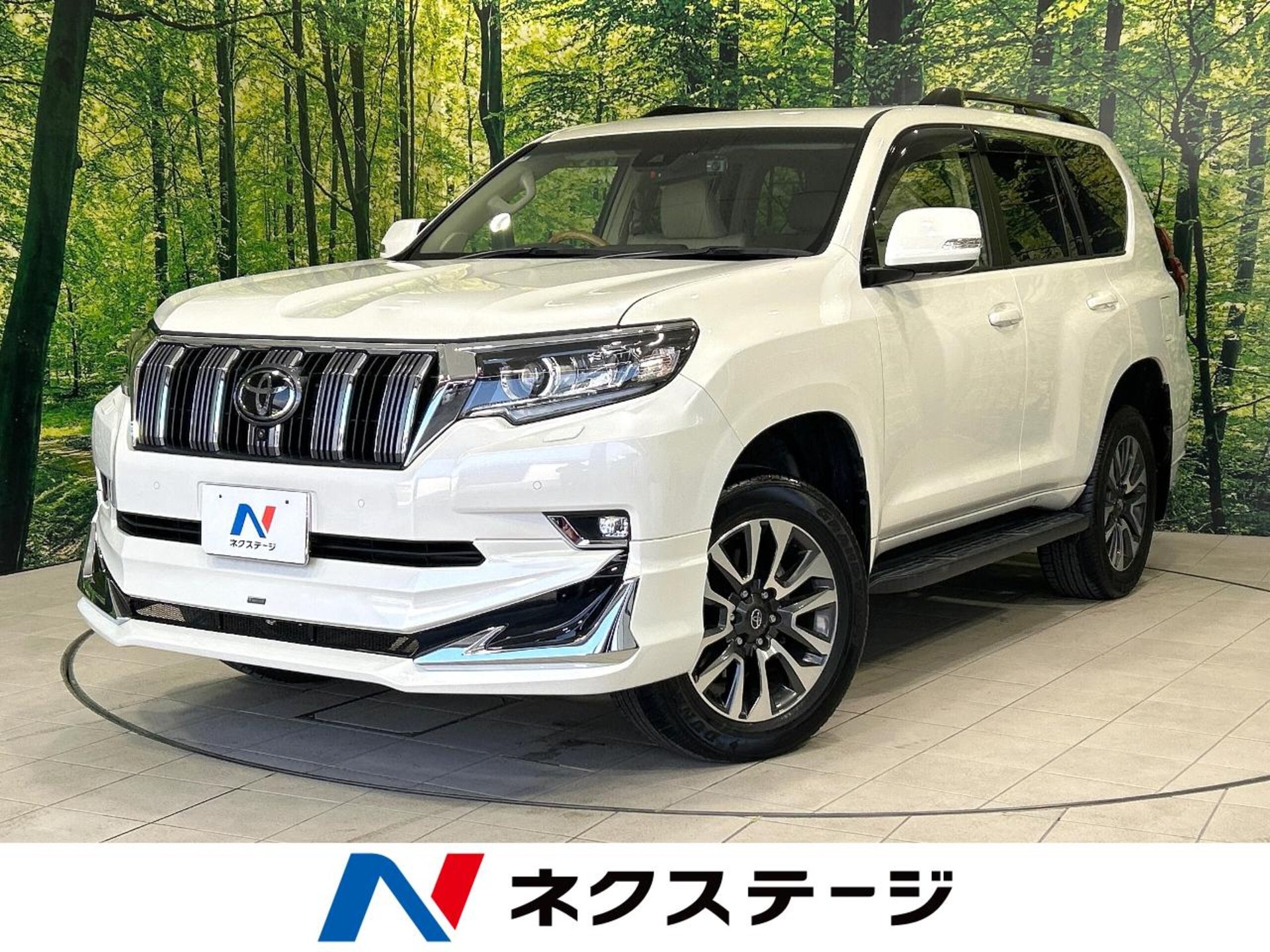 TOYOTA LAND CRUISER PRADO - View 1