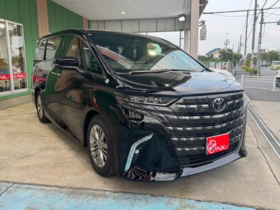 2026 Toyota ALPHARD 照片 3