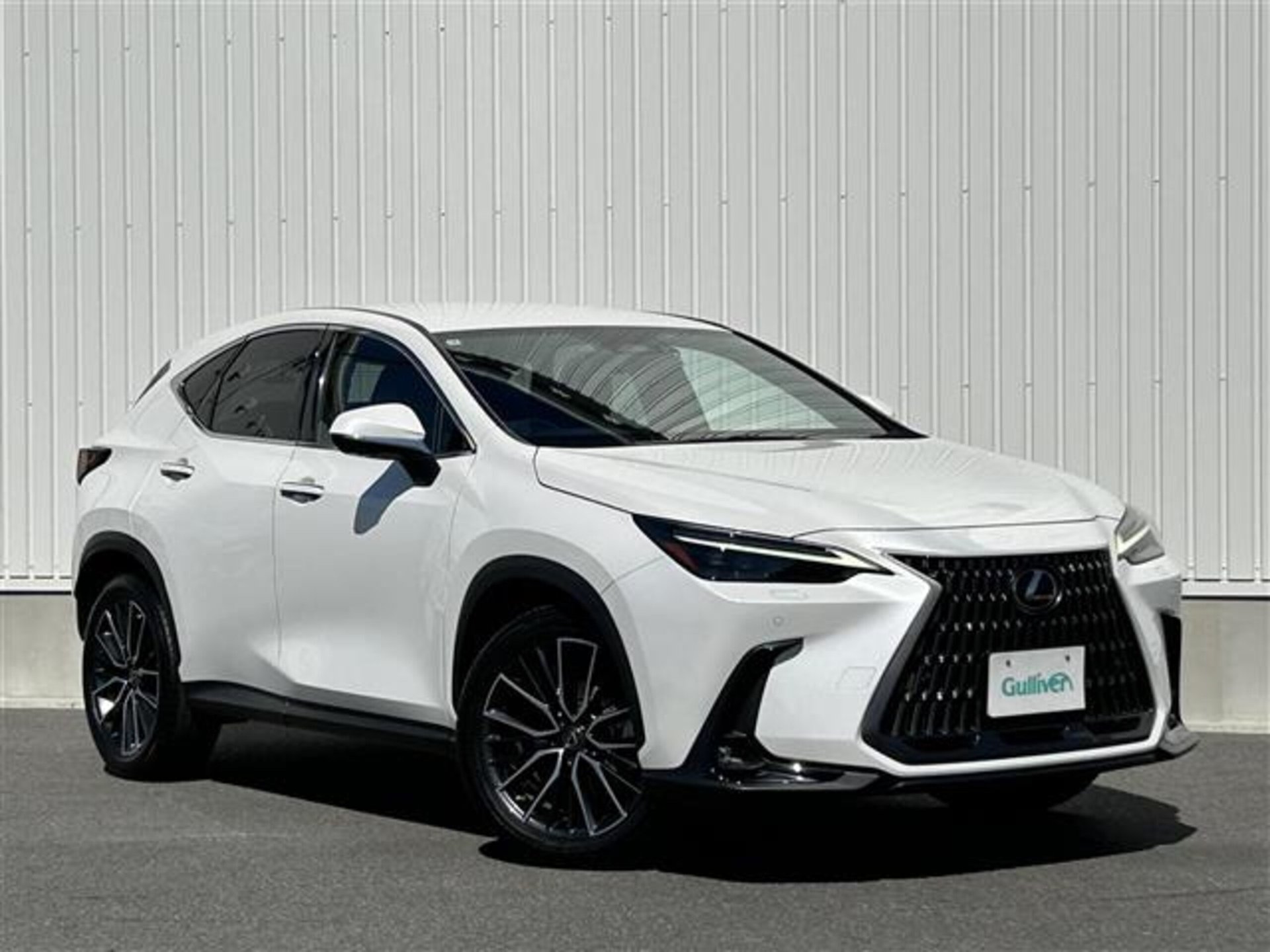 LEXUS NX - View 1