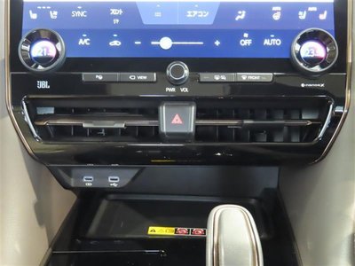2024 TOYOTA ALPHARD 照片 10