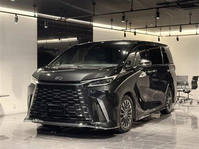 2024 Lexus LM photo 2