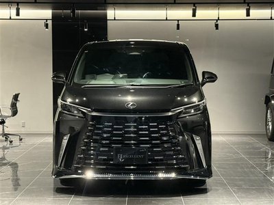 2024 Lexus LM photo 10