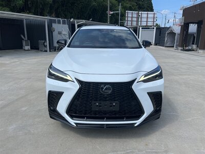 LEXUS NX - 6