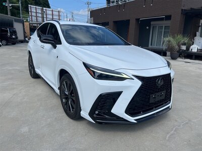 LEXUS NX - 8