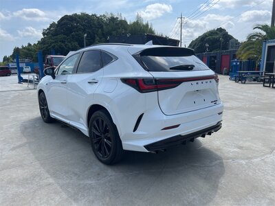 LEXUS NX - 10