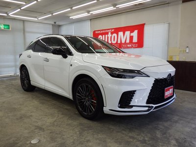 LEXUS RX - 6
