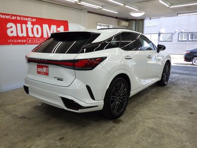 LEXUS RX - 8