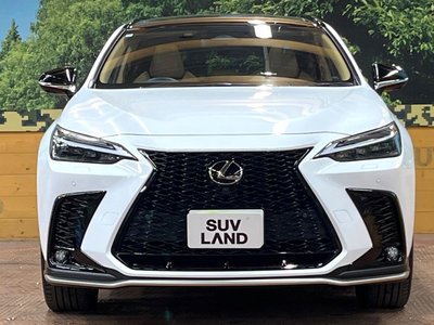 2024 Lexus NX — миниатюра 14