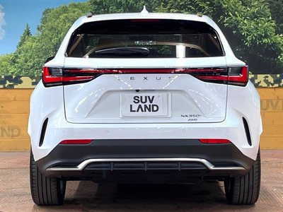 2024 Lexus NX — миниатюра 15