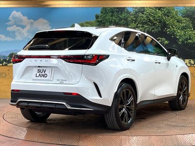 2024 Lexus NX — миниатюра 17