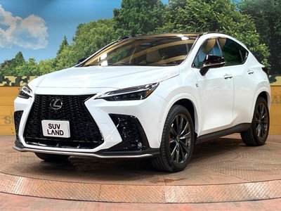 2024 Lexus NX — миниатюра 16