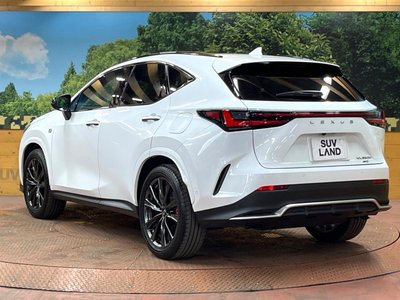 2024 Lexus NX — миниатюра 64