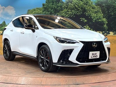 2024 Lexus NX — миниатюра 62