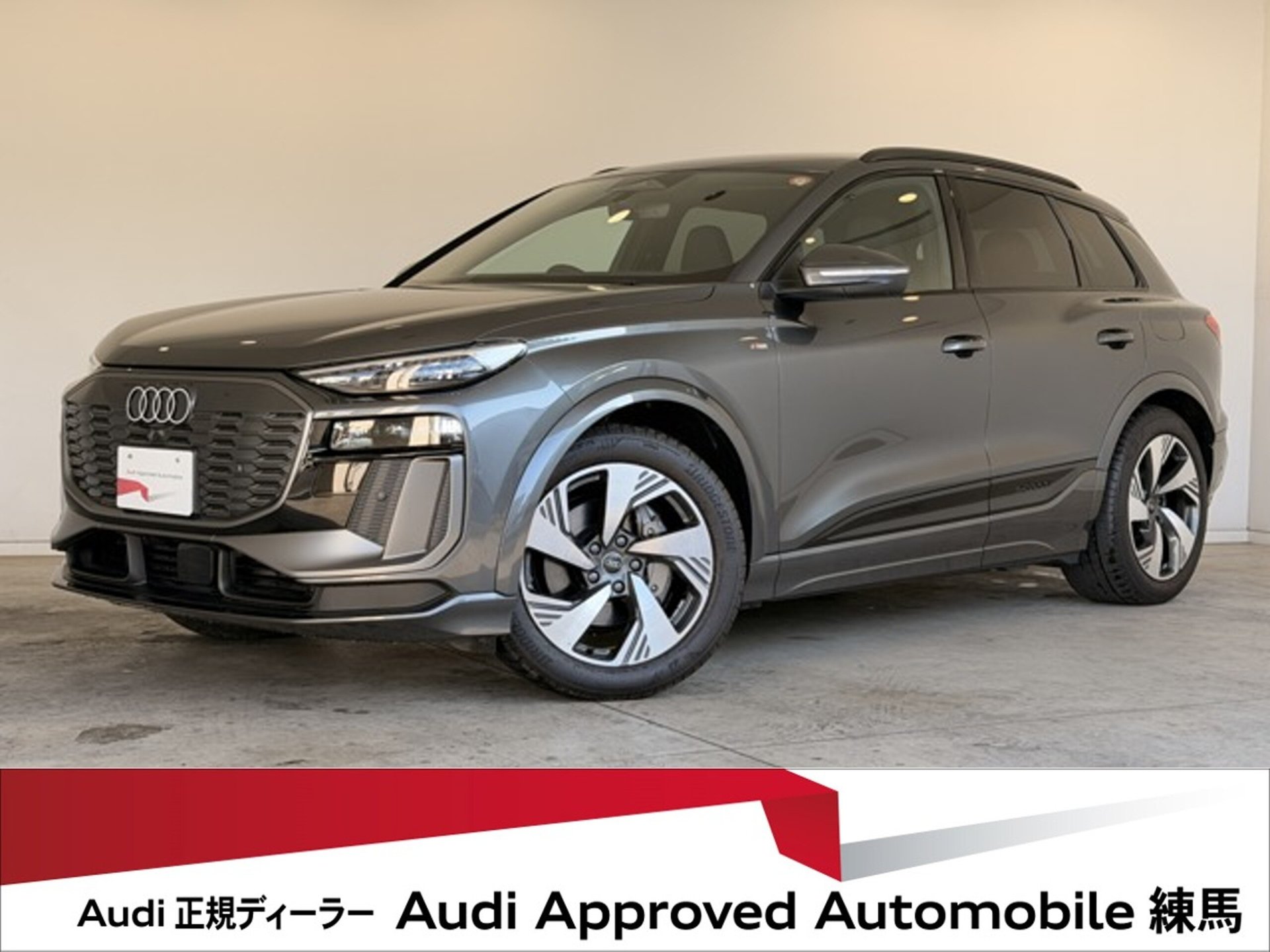 AUDI Q6 E-TRON - View 1