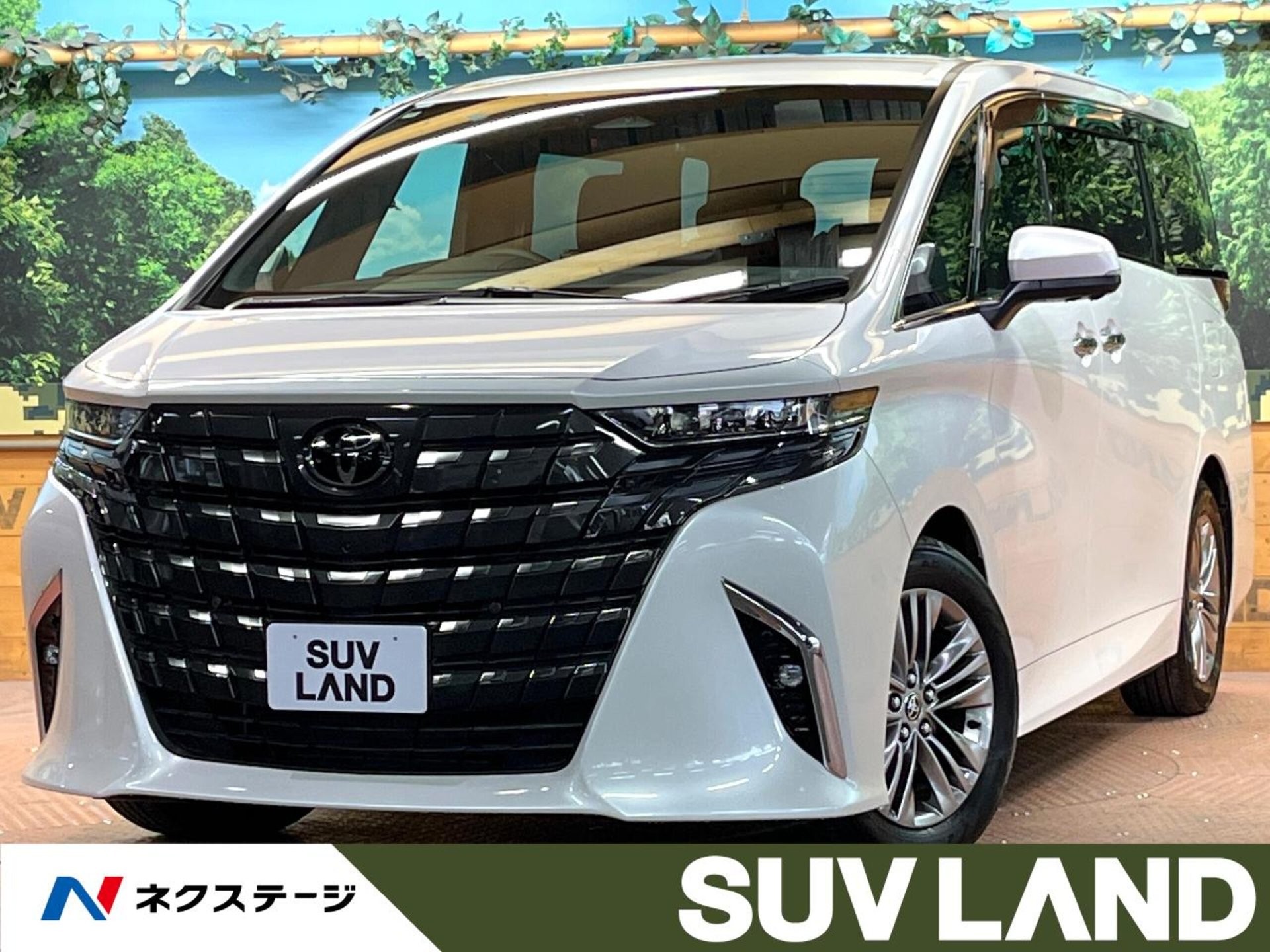 TOYOTA ALPHARD - View 1