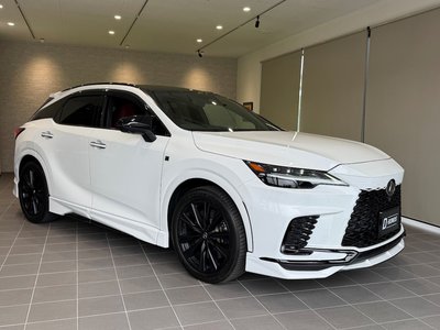 صورة مصغرة 67 لـ 2023 Lexus RX