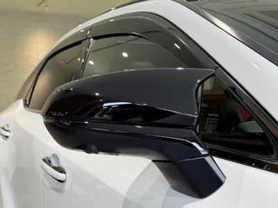صورة مصغرة 13 لـ 2023 Lexus RX