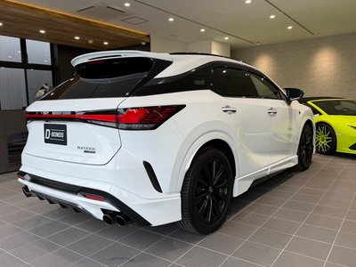 LEXUS RX - 2