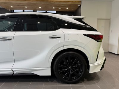 صورة مصغرة 60 لـ 2023 Lexus RX
