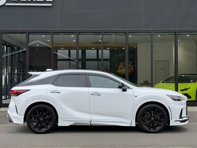 صورة مصغرة 18 لـ 2023 Lexus RX