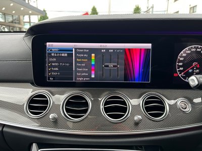2019 Mercedes-BENZ E-CLASS AMG 缩略图 49