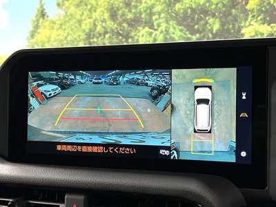 TOYOTA LAND CRUISER 250 - 7