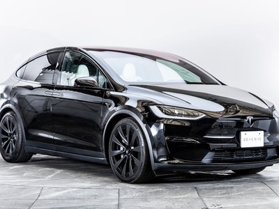 2023 Tesla MODEL X photo 10
