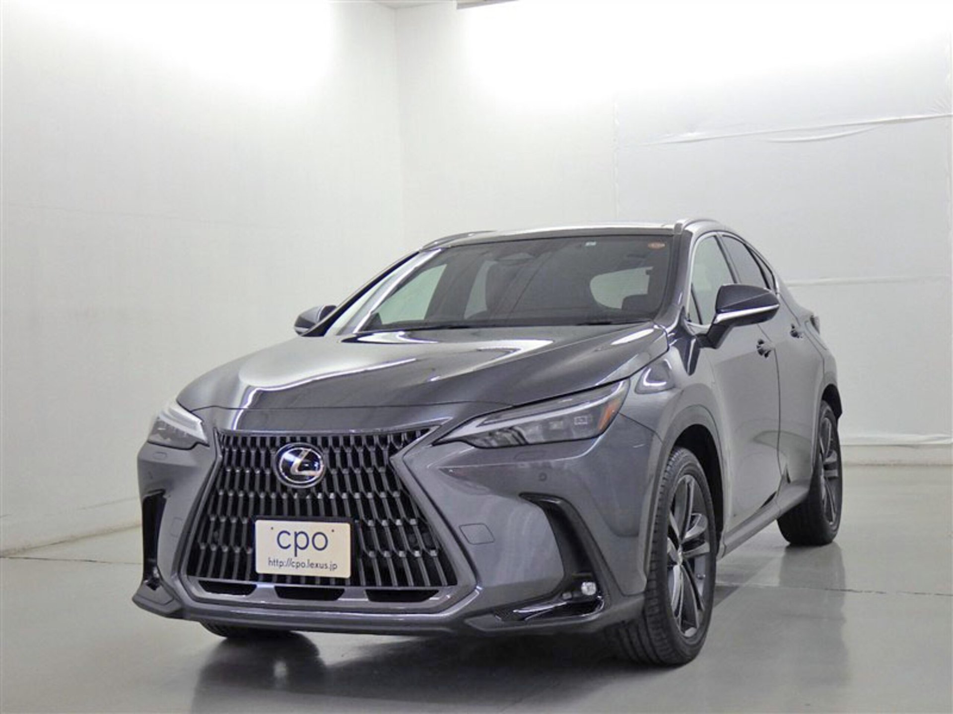 LEXUS NX - View 1