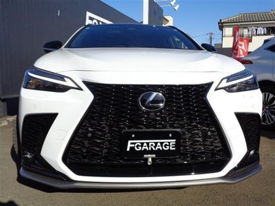 LEXUS NX - 2