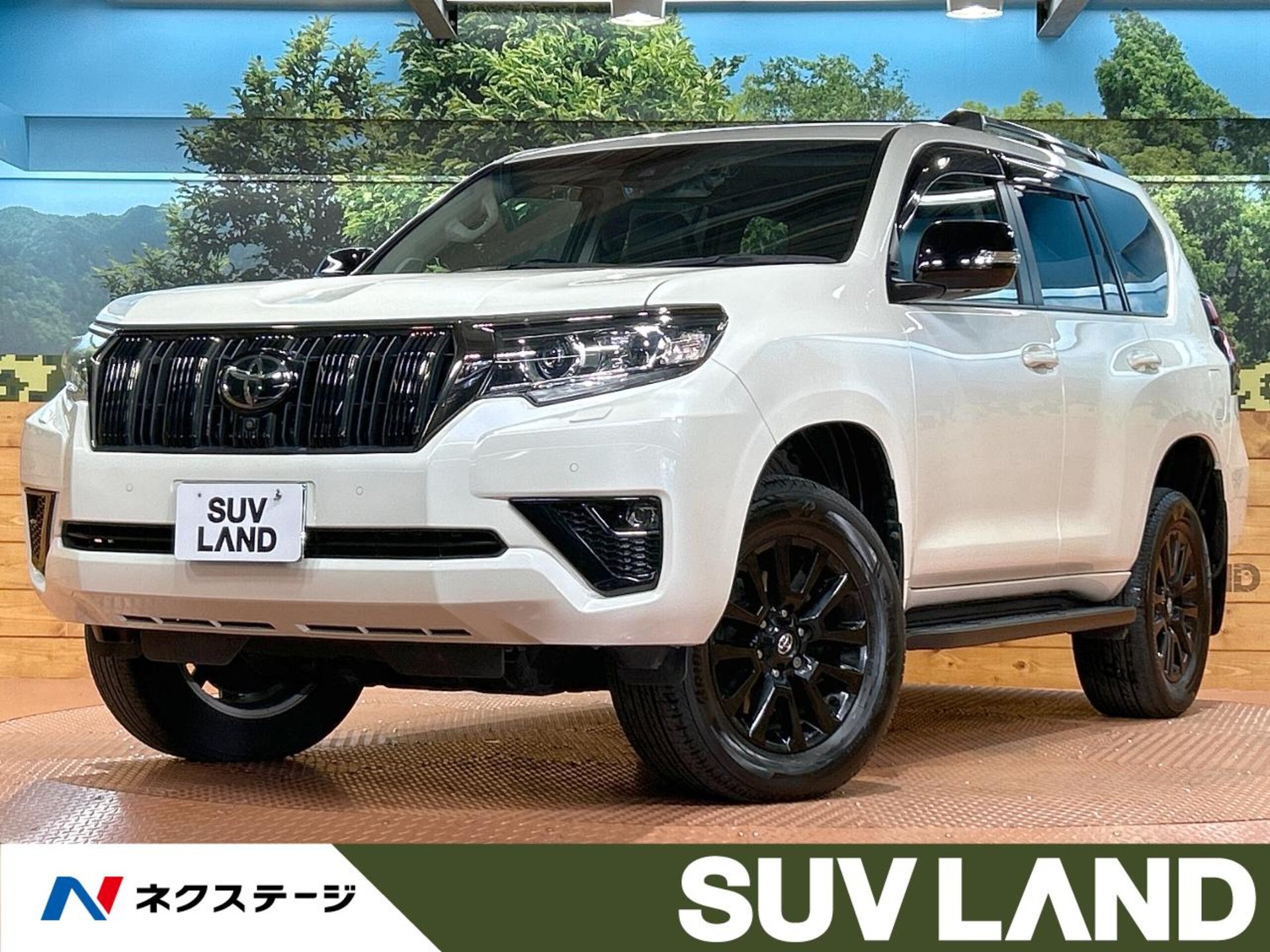 TOYOTA LAND CRUISER PRADO - View 1