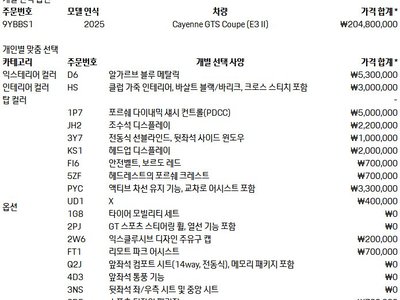 PORSCHE CAYENNE - 10