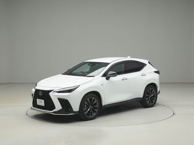 LEXUS NX - 6