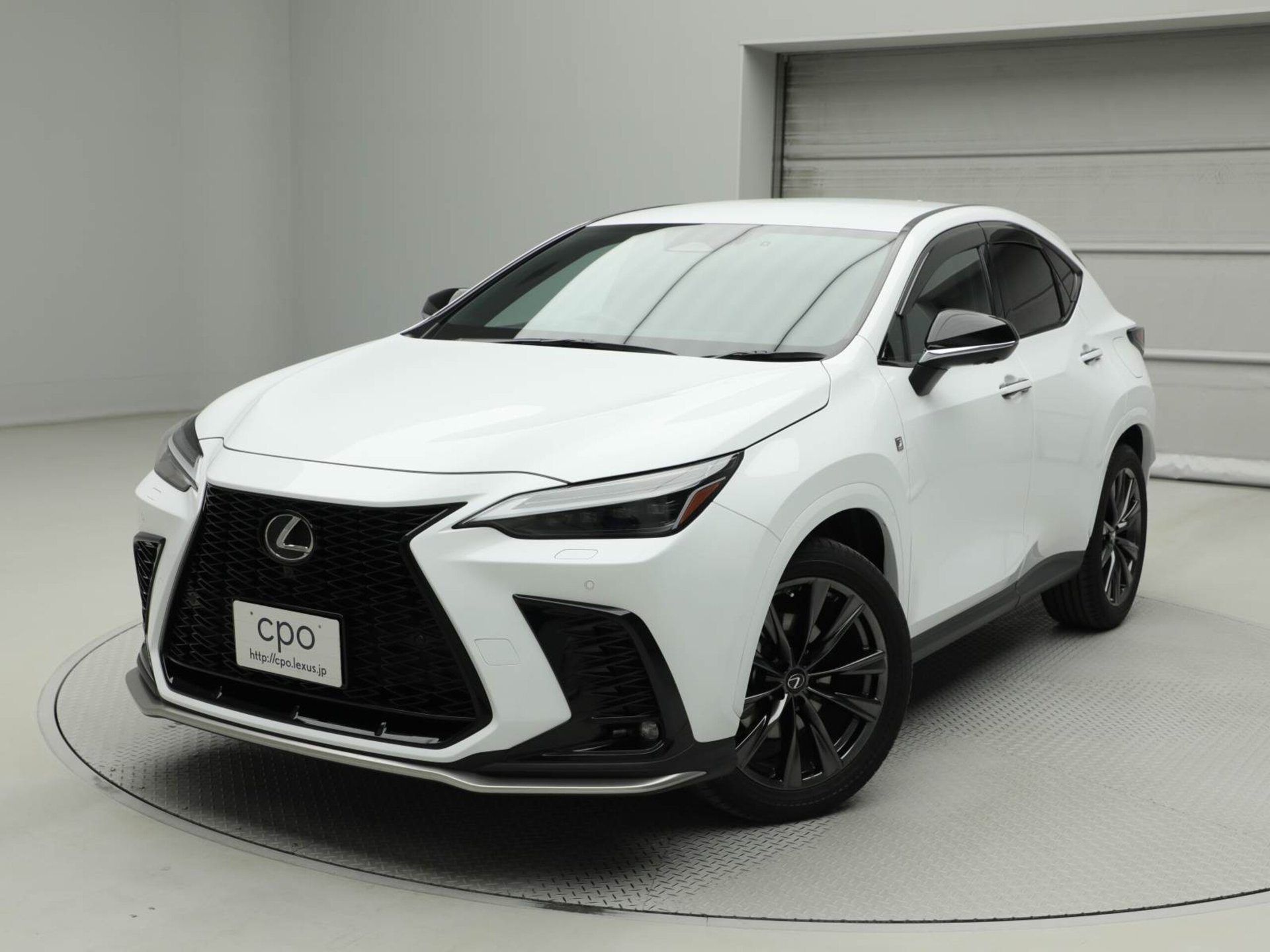LEXUS NX - View 1