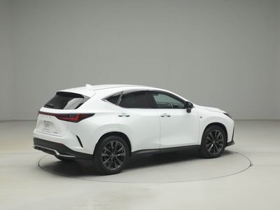 LEXUS NX - 10