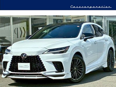 LEXUS RX - 1