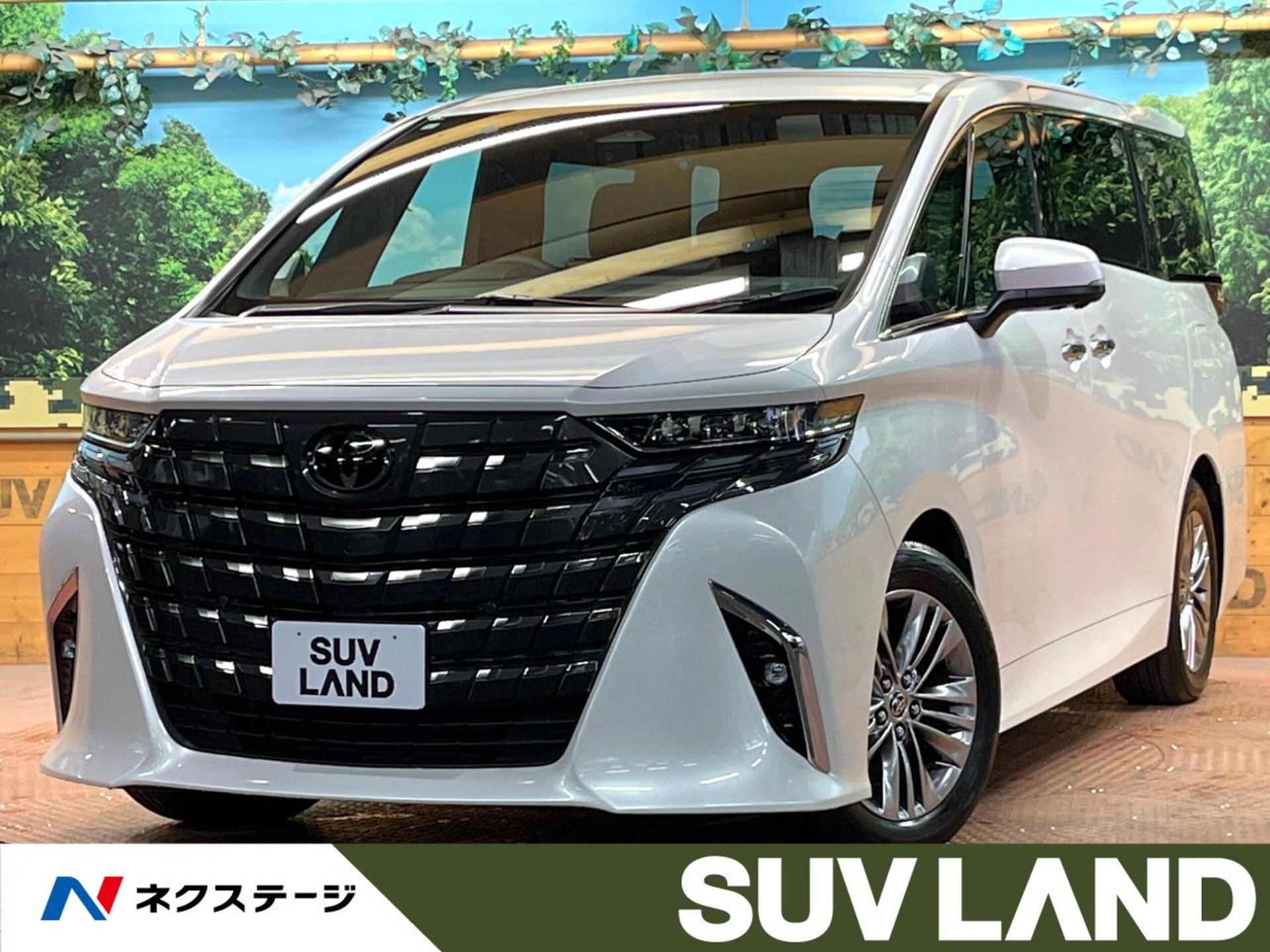 TOYOTA ALPHARD - View 1