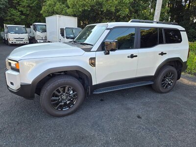 TOYOTA LAND CRUISER 250 - 2