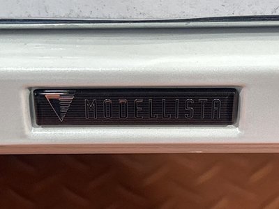 TOYOTA LAND CRUISER 300 - 4