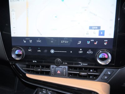 LEXUS NX - 10